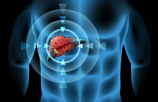 肝功能正常也要预防肝癌
