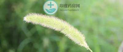 微信图片_20190830095323.jpg