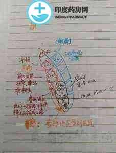 微信图片_20190819145028.jpg